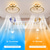 economico Ventilatore da soffitto con luci-ventilatore da soffitto con app design cerchio luminoso&amp;amp; telecomando 50cm dimmerabile 6 velocità del vento moderno ventilatore da soffitto per camera da letto, soggiorno, piccola stanza 220-240v