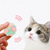voordelige Kattenspeeltjes-kat interactief speelgoed kat speelgoed ballen muis kooi speelgoed pluche kunstmatige kleurrijke kat teaser speelgoed dierbenodigdheden interactieve knuffel