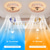 economico Ventilatore da soffitto con luci-ventilatore da soffitto con app design cerchio luminoso&amp;amp; telecomando 100cm 5 luci dimmerabili 6 velocità del vento moderno ventilatore da soffitto per camera da letto, soggiorno, piccola stanza