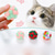 voordelige Kattenspeeltjes-kat interactief speelgoed kat speelgoed ballen muis kooi speelgoed pluche kunstmatige kleurrijke kat teaser speelgoed dierbenodigdheden interactieve knuffel
