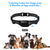 cheap Dog Training &amp; Behavior-Dog Training Collar Dog Shock Collar with Remote 3 Training Modes Beep Vibration and Shock 3C Simple style Remote Range Rainproof for Small Medium Large Dogs