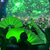 preiswerte Deko-Glühen, faltender LED-Ventilator, tanzende Lichter, Nachtshow, DJ, fluoreszierende Bar, Nachtclub, Partygeschenke, Halloween-Dekoration, Farbwechsel-Ventilator