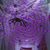 billige Halloween innendørs-halloween spider web lys 60 led med svart edderkopp vanntette lilla nett lys usb drevet fjernkontroll 8 moduser spindelvev for fest hage dekorasjon belysning