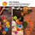cheap Halloween Lights-Halloween Lights Solar Wind Chimes Color Changing Jack O Lantern Outdoor Halloween Decorations With 6 Pumpkin Lights, Waterproof Thanksgiving Fall Decor for Tree Door Window Party Yard Decoration