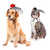 abordables Costumes-Chien Chat Accessoires pour Cheveux Cosplay Cosplay Marrant Hiver Doux Lavable Confortable Halloween Extérieur Halloween Casual Quotidien Vêtements pour chiens for Bichon Frisé Loulou de Poméranie