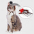 abordables Costumes-Chien Chat Accessoires pour Cheveux Cosplay Cosplay Marrant Hiver Doux Lavable Confortable Halloween Extérieur Halloween Casual Quotidien Vêtements pour chiens for Bichon Frisé Loulou de Poméranie