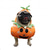 baratos Fantasia de Halloween para animais de estimação-traje de cachorro roupas de halloween roupas de abóbora engraçadas cachorro e gato roupas de transformação engraçadas roupas de pé para halloween/carnaval