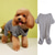 ieftine Pulovere-Câini Pisici Pulovere Jumper Modă Drăguţ Iarnă Respirabil Απαλό Lavabil Comfortabil În aer liber Casul / Zilnic Îmbrăcăminte pentru câini for Bichon Frise Pomeran un Animalut Fluture Small