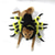 cheap Halloween Pet Costume-Pet Spider Costume Cosplay Dog Halloween Funny Dog Costume