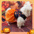 abordables Costumes-Chien Chat Robe Mignon Occasionnel Respirant Doux Lavable Confortable Halloween Décontracté Quotidien Festival Vêtements pour Chiens for Bichon Frisé Spitz Nain Bébé Animal Papillon Petit