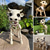 cheap Halloween Hanging &amp; Tabletop Decorations-Cow Skeleton Halloween Decoration, 2024 New Halloween Cow Skeleton, Cow Skull Halloween Haunted Skeleton, Halloween Decorative Prop