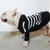 cheap Sweaters-Dog Cat Sweater Jumper Fashion Cute Winter Warm Breathable Soft Washable Comfortable Outdoor Casual Daily Dog Clothing for Bichon Frise Pomeranian Baby Pet Papillon Small