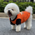 billiga Kylväst och skjorta-Hund Katt T-shirt Mode söt stil Andningsfunktion Mjuk Tvättbar Bekväm Utomhus Ledigt / vardag Hundkläder for Bichon Frisé Pommeran valpen eller det lilla husdjuret Fjäril Small