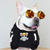 cheap Sweaters-Dog Cat Sweater Jumper Fashion Cute Winter Warm Breathable Soft Washable Comfortable Outdoor Casual Daily Dog Clothing for Bichon Frise Pomeranian Baby Pet Papillon Small