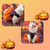 abordables Costumes-Chien Chat Robe Mignon Occasionnel Respirant Doux Lavable Confortable Halloween Décontracté Quotidien Festival Vêtements pour Chiens for Bichon Frisé Spitz Nain Bébé Animal Papillon Petit