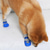 baratos Botas &amp; Protetores de Patas-Cachorros Gatos Meias Esportes Minimalista Casual Diário Inverno Prova-de-Água Quente Lavável Confortável Ao ar livre Viajar Casual / Diário Caminhada Roupas para cães for Husky Labrador Golden