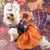 abordables Costumes-Chien Chat Robe Mignon Occasionnel Respirant Doux Lavable Confortable Halloween Décontracté Quotidien Festival Vêtements pour Chiens for Bichon Frisé Spitz Nain Bébé Animal Papillon Petit