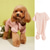 ieftine Pulovere-Câini Pisici Pulovere Jumper Modă Drăguţ Iarnă Respirabil Απαλό Lavabil Comfortabil În aer liber Casul / Zilnic Îmbrăcăminte pentru câini for Bichon Frise Pomeran un Animalut Fluture Small