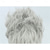cheap Anime Wigs-Cosplay Wigs Silver Gray Curly Synthetic Hair Short Wigs Men's Wigs For Party