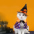ieftine Costum pentru animale de companie de Halloween-Câini Pisici Costum Manta Cosplay Amuzant Iarnă Απαλό Halloween În aer liber Halloween  Ținute haine pentru cățeluși