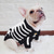 cheap Sweaters-Dog Cat Sweater Jumper Fashion Cute Winter Warm Breathable Soft Washable Comfortable Outdoor Casual Daily Dog Clothing for Bichon Frise Pomeranian Baby Pet Papillon Small