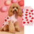preiswerte Pullover-Hund Katze Pullover Jumper Mode Cool Winter Atmungsaktiv Weich Waschbar Bequem Halloween Outdoor Alltagstauglich Hundebekleidung for Bichon Frise Zwergspitz Baby Haustier Papillon Klein