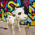 cheap Halloween Hanging &amp; Tabletop Decorations-Cow Skeleton Halloween Decoration, 2024 New Halloween Cow Skeleton, Cow Skull Halloween Haunted Skeleton, Halloween Decorative Prop