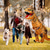 ieftine Costume de cuplu și grup-Dinozaur Costum de carnaval Costum Cosplay Costume amuzante Costume gonflabile Pentru copii Adulți Toate Costum amuzant Halloween Carnaval Mascaradă Costum ușor de carnaval
