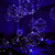 preiswerte Dekorative Lichter-elegante Hochzeitsempfangsparty, LED-Ballon, leuchtende Party, Hochzeitsbedarf, Wohnheim-Partydekoration, transparente Seifenblasendekoration, Geburtstagshochzeit, LED-Ballons, Lichterketten,