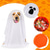 preiswerte Halloween-Haustierkostüm-Hunde Katzen Kostüme Cool Lustig Winter Wasserdicht Atmungsaktiv Weich Waschbar Komfortabel Halloween Festival Bichon Frise Spitz kleines Haustier Schmetterling