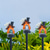 cheap Halloween Outdoor-3pcs LED Solar Pumpkin House Decoration, Halloween Light Up Pumpkin House Decoration Supplies for Outdoor Decoration Light Up