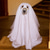 preiswerte Halloween-Haustierkostüm-Hunde Katzen Kostüme Cool Lustig Winter Wasserdicht Atmungsaktiv Weich Waschbar Komfortabel Halloween Festival Bichon Frise Spitz kleines Haustier Schmetterling