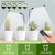 cheap Plant Growing Lights-Grow Light USB Phytolamp for Plants Full Spectrum Dimmable 4/8/12H Timer Fitolamp Lights Home Flower Seedling Clip Phyto Lamp