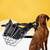 preiswerte Maulkörbe-Hunde Katzen Maulkörbe Modisch Brautkleider schlicht Winter Wasserdicht Atmungsaktiv Weich Waschbar Komfortabel Casual Bichon Frise Spitz kleines Haustier Schmetterling