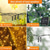 cheap Solar String Lights-Waterproof Solar LED String Lights, Outdoor Christmas Fairy Lights 5M-20 to 22M-200 LEDs for Garden, Wedding, Party &amp; Holiday Decor