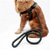cheap Dog Collars, Harnesses &amp; Leashes-PP Ribbon Woven Round Dog Rope Dog Chest Strap Traction Rope Dog Rope Pet Supplies