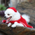 abordables Ropa &amp; Accesorios-Perros Gatos Capa Cosplay Traje de Navidad Moda Fiesta Invierno Transpirable Suave Lavable Cómodo Fiesta Navidad Casual Diario Festival Ropa para perros for Bichón Frisé Pomerania Animal doméstico