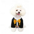 voordelige Kostuums-Honden Katten Pak Modieus leuke Style Winter Zacht Wasbaar Comfortabel Bruiloft Buiten Feest Verjaardag Hondenkleding for Bichon Frise Poedel pomeranian kleine huisdieren Vlinder