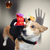 voordelige Halloween Huisdierkostuum-Honden Katten kostuums Feest Grappig waterdicht Buiten Halloween  Hond puppy kleding outfits