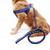 cheap Dog Collars, Harnesses &amp; Leashes-PP Ribbon Woven Round Dog Rope Dog Chest Strap Traction Rope Dog Rope Pet Supplies