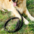 cheap Dog Collars, Harnesses &amp; Leashes-PP Ribbon Woven Round Dog Rope Dog Chest Strap Traction Rope Dog Rope Pet Supplies