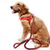 cheap Dog Collars, Harnesses &amp; Leashes-PP Ribbon Woven Round Dog Rope Dog Chest Strap Traction Rope Dog Rope Pet Supplies