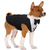 voordelige Kostuums-Honden Katten Pak Modieus leuke Style Winter Zacht Wasbaar Comfortabel Bruiloft Buiten Feest Festival Hondenkleding for Bichon Frise Poedel pomeranian kleine huisdieren Vlinder