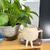 economico Statue-Oggetti decorativi, Resina Stile semplice per Decorazioni per la casa Regali 1 pc