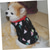 billige Gensere-Hunder Katter Gensere Jumper Fest Fritid Vinter Pustende Myk Vaskbar Bekvem Jul utendørs Fritid / hverdag Hundeklær for Bichon Frisé Pommeran ungt kjæledyr Sommerfugl Small