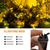 baratos Plug String Lights-50m 100m ao ar livre à prova d'água luz string festival festa luz decorativa 8 modos concha de ferro fonte de alimentação à prova d'água jardim jardim lâmpada de iluminação de jardim 24v baixa tensão