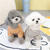 ieftine Pulovere-Câini Pisici Hanorca Modă Casual Iarnă Respirabil Απαλό Lavabil Comfortabil În aer liber Casul / Zilnic Îmbrăcăminte pentru câini for Bichon Frise Pomeran un Animalut Fluture Small