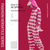 cheap Onesie Costumes-Adults&#039; Kigurumi Pajamas Cat Chesire Cat Animal Striped Onesie Pajamas Polar Fleece Cosplay For Men and Women Halloween Animal Sleepwear Cartoon Festival / Holiday Costumes / Leotard / Onesie