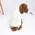 cheap Sweaters-Dog Cat Sweater Jumper Vintage Casual Winter Breathable Soft Washable Comfortable Outdoor Casual Daily Dog Clothing for Bichon Frise Pomeranian Baby Pet Papillon Small