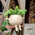 economico Statue-Oggetti decorativi, Resina Stile semplice per Decorazioni per la casa Regali 1 pc
